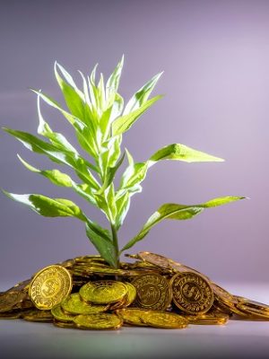 Growth Advisory
