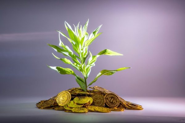 Growth Advisory